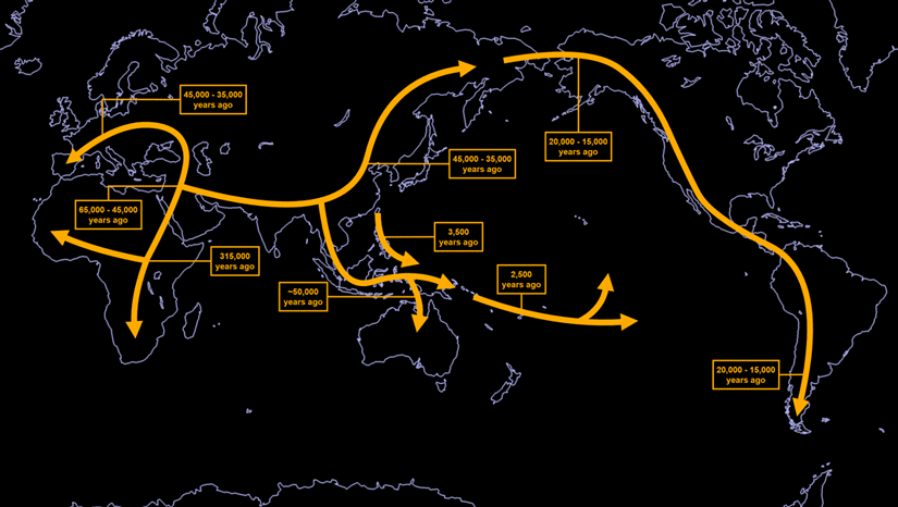 Human Migration Map