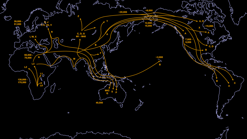 mtDNA Map